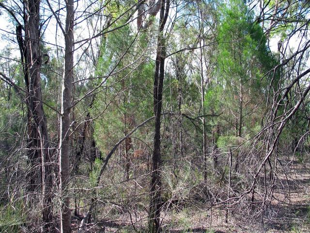 The view south from the confluence