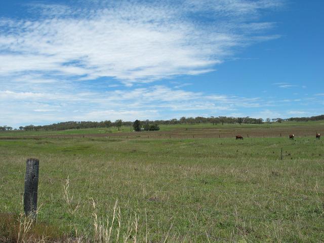 The view East from the confluence