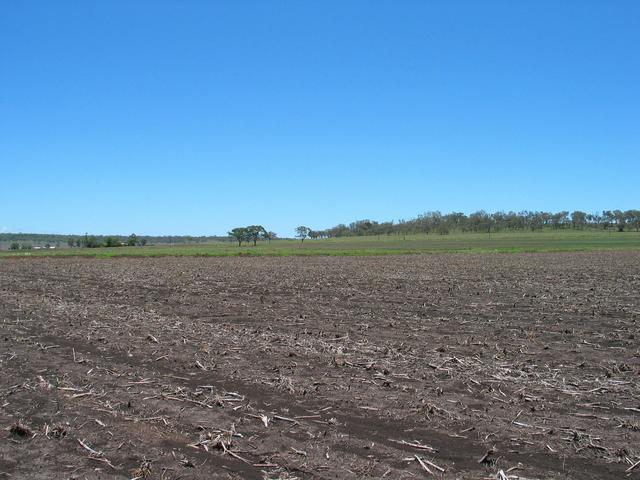 The view West from the confluence