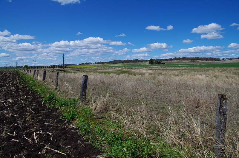 Looking East from the confluence
