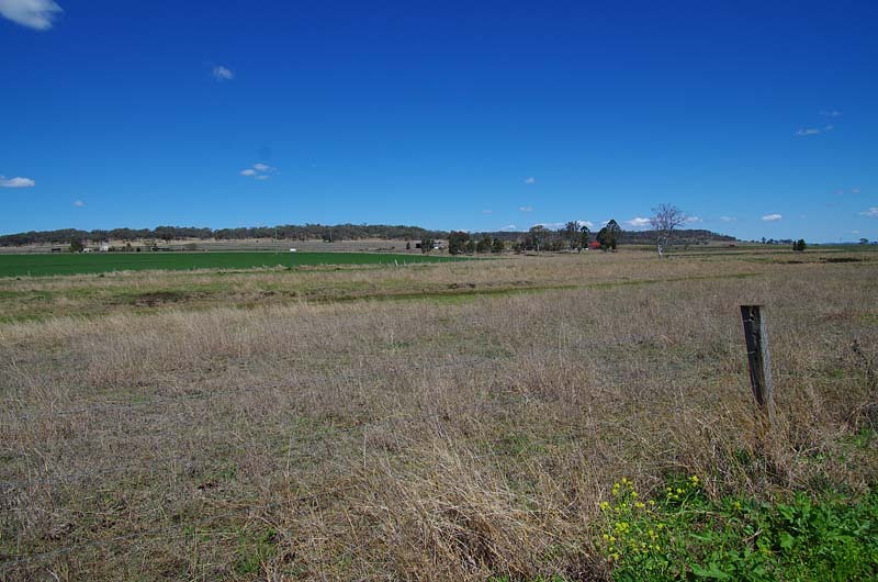 Looking South from the confluence