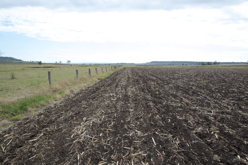 View West (towards the New England Highway)