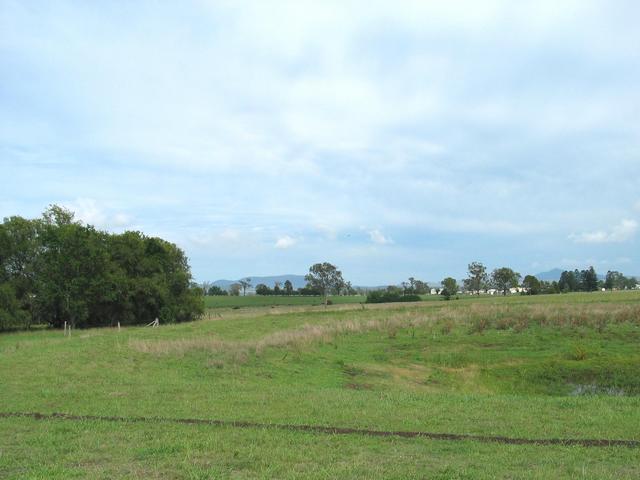 The view east from the confluence