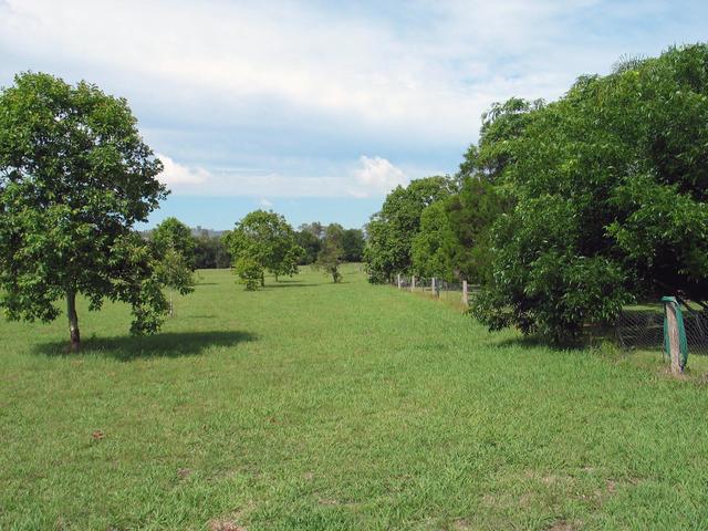 Looking over the fence from the road, with the confluence in the visible distance