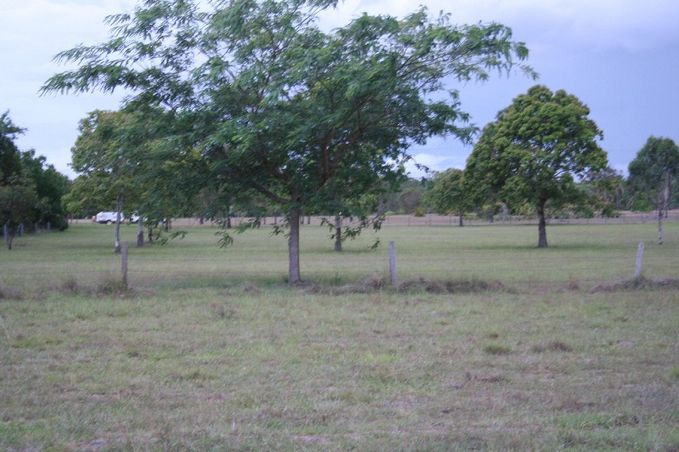 The spot and view to the East