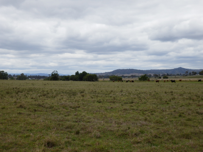 View to the South