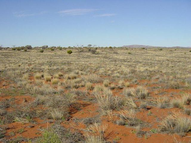 View to East