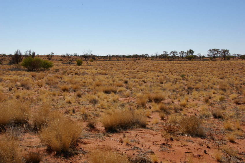 Looking South From Confluence