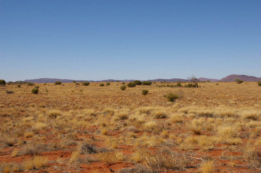 Looking East From Confluence