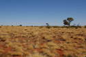 #5: Looking West From Confluence