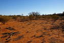 #2: Looking North From Confluence