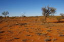 #3: Looking South From Confluence