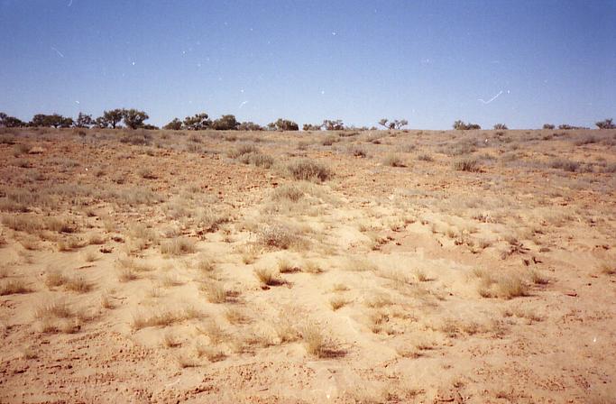 East view into Queensland.