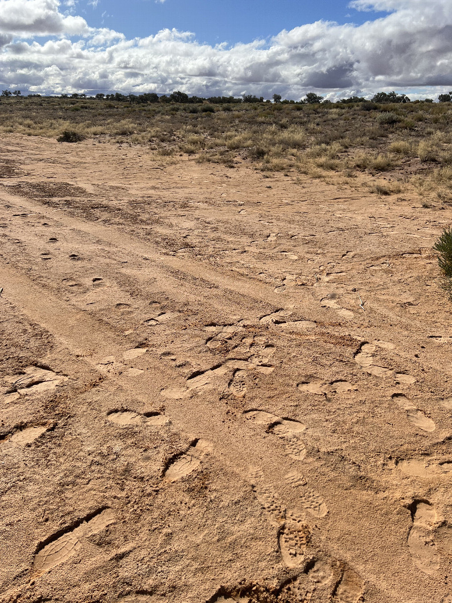  Looking north from the confluence point