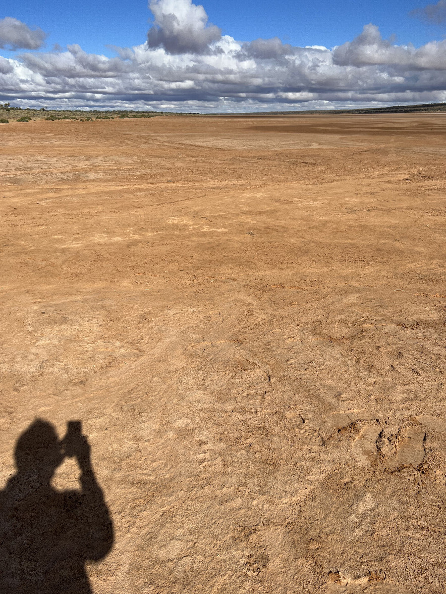 Looking south from the confluence point