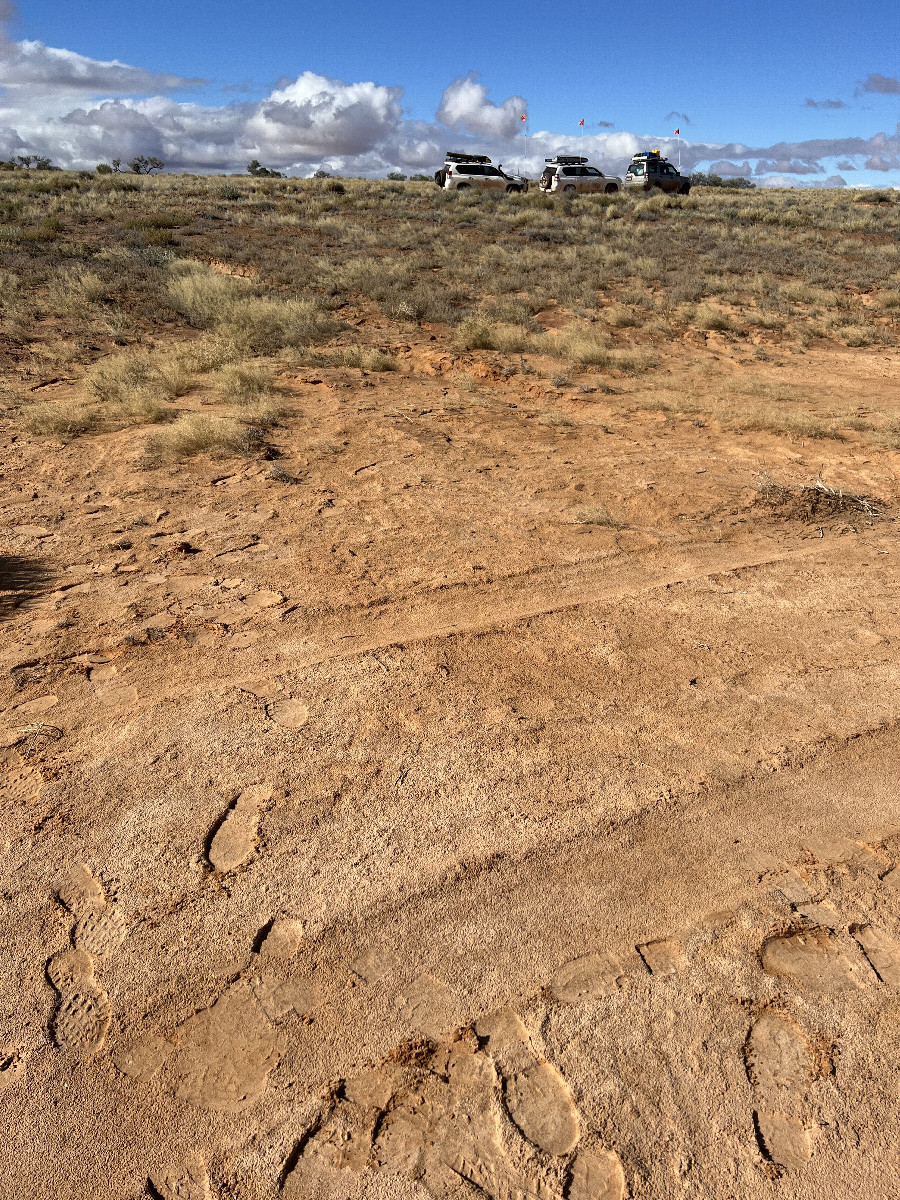 Looking east from the confluence point