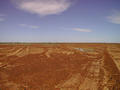 #6: Looking south.