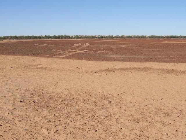 Looking East