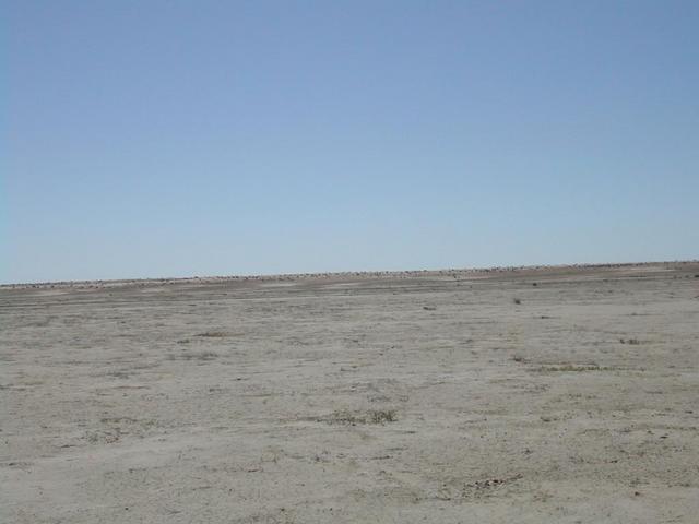 View to the east
