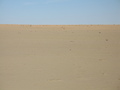 #3: 28S 140E looking East
