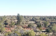 #7: The confluence in the scrub.