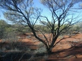 #3: South View