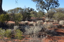 #2: Looking North from the Confluence