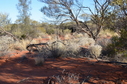 #3: Looking South from the Confluence