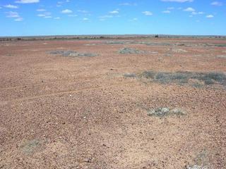 #1: View of the confluence looking north east