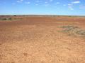 #4: View from the confluence looking south
