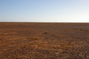 #5: Looking West From Confluence