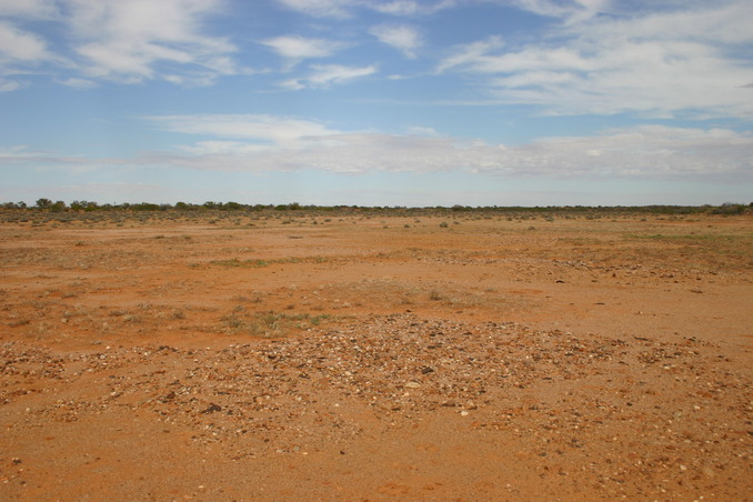 View South