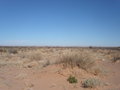 #11: Lake Eyre views 1000m from the confluence