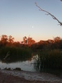 #9: Muloorina campsite, full moon at dawn