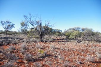 #1: General view of the confluence area