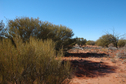 #4: View from the confluence