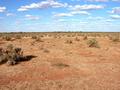 #3: View from the confluence looking east