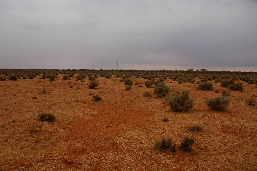 Looking North From Confluence