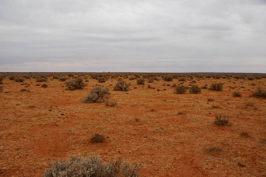 Looking South From Confluence