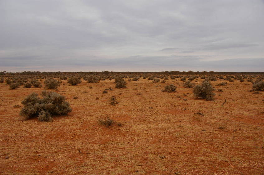 Looking East From Confluence