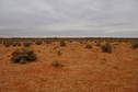 #4: Looking East From Confluence