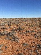 #4: View to south