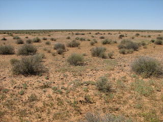 #1: View of shrub country at the confluence