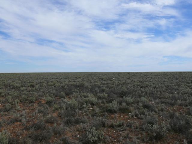 Looking West