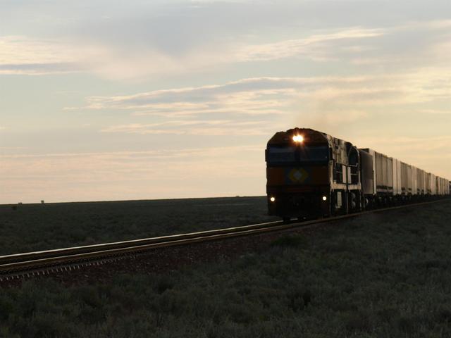 Train from the west late afternoon