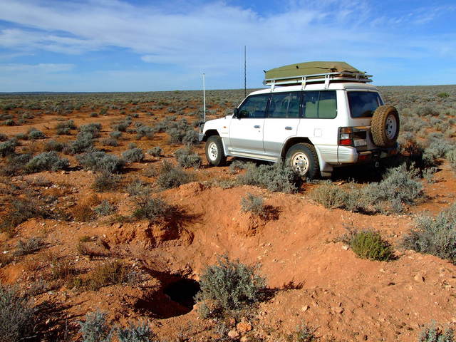 Keep well clear of the Wombat Warrens