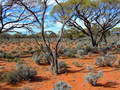 #4: Looking East