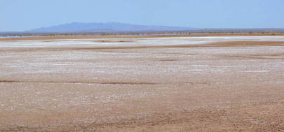 #1: General View of Confluence Area with the Flinders Ranges in the background