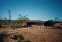 #6: Water tank and windmill