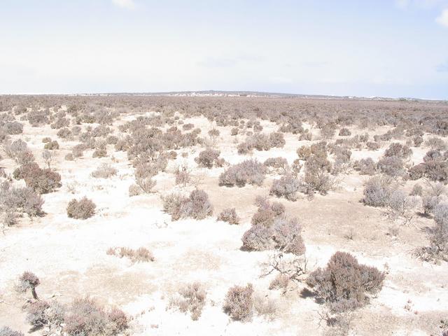 Looking South